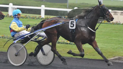 Les pronostics hippiques de Sébastien Mortagne : Jeudi 21 Septembre